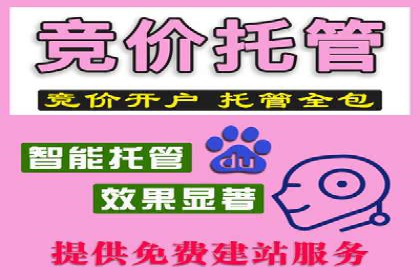 旅游行业SEM推广的实战案例分析